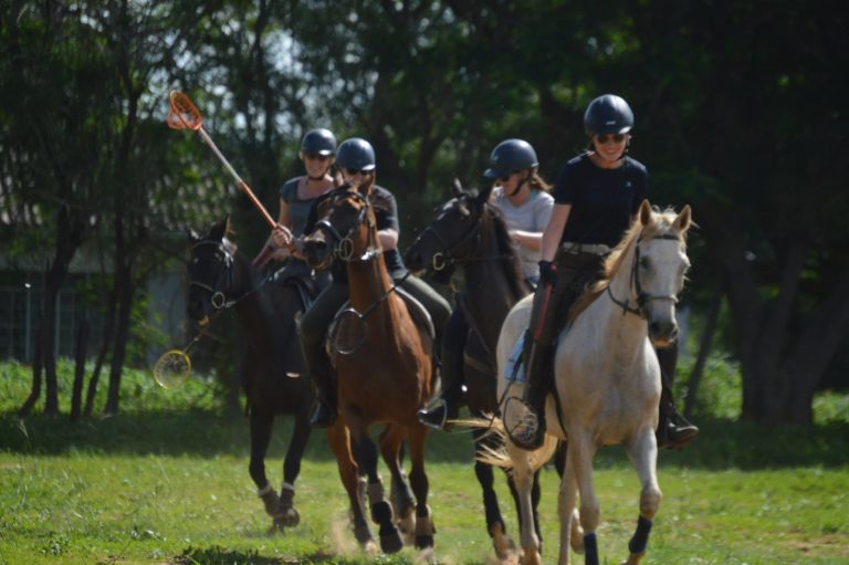 Polocross