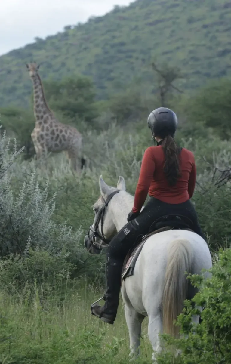 Safariritt