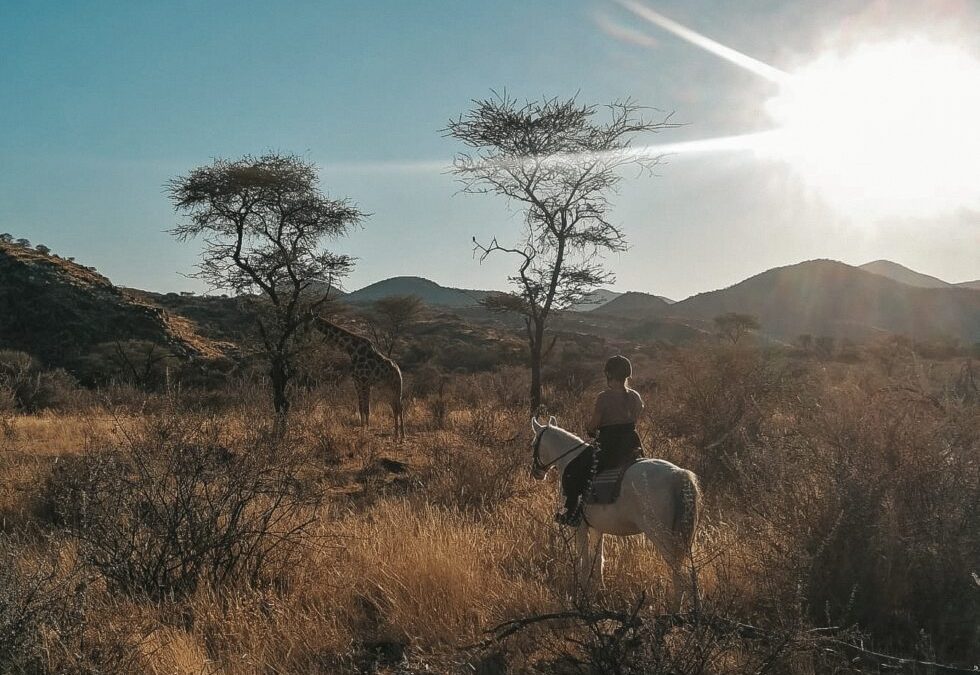 Denise (WorkingHoliday in Namibia)