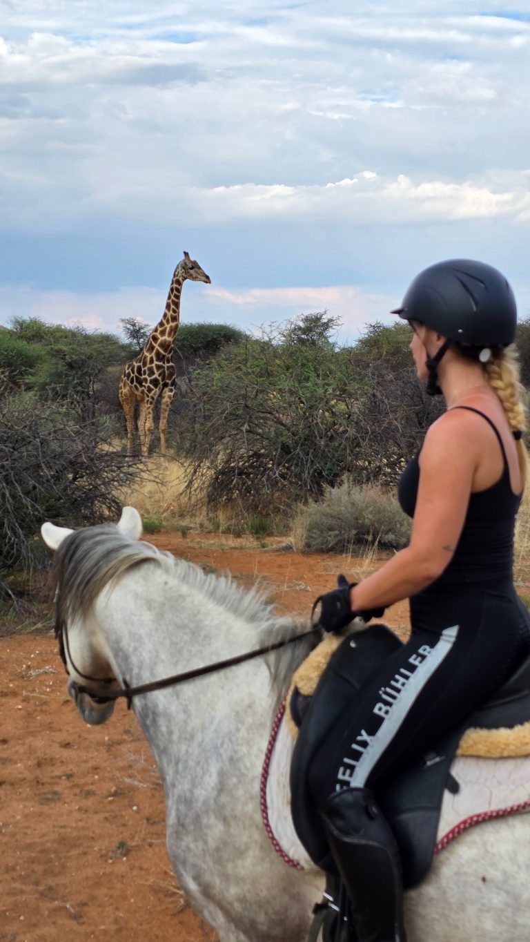 Reitsafaris