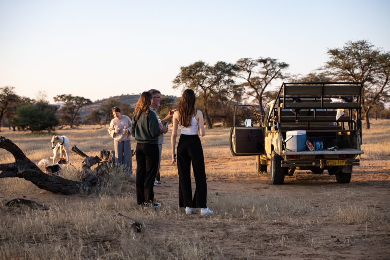 Game Drives