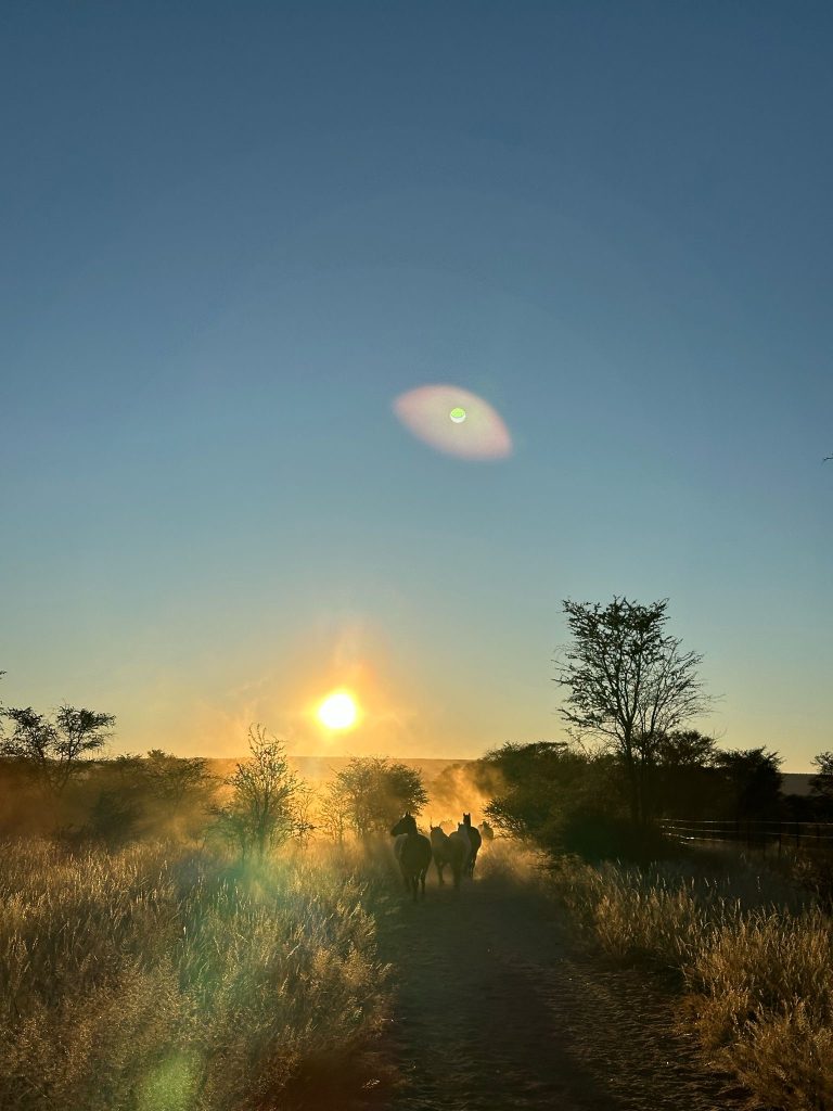 Game Drive