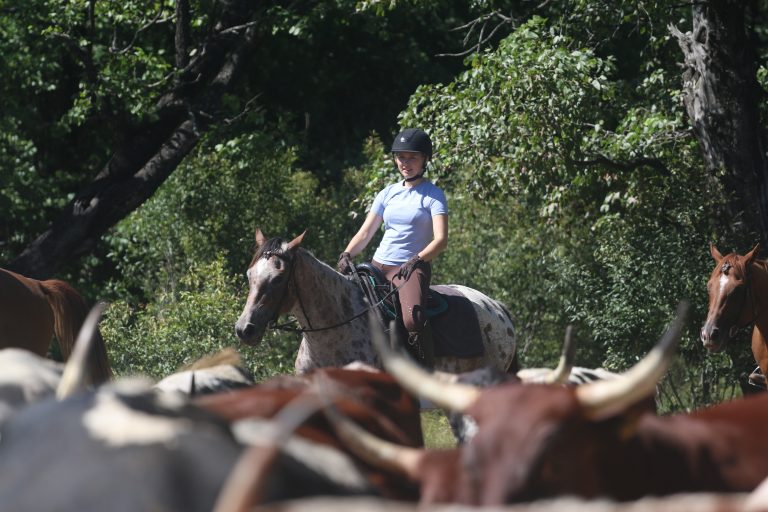 Mithilfe beim Farming