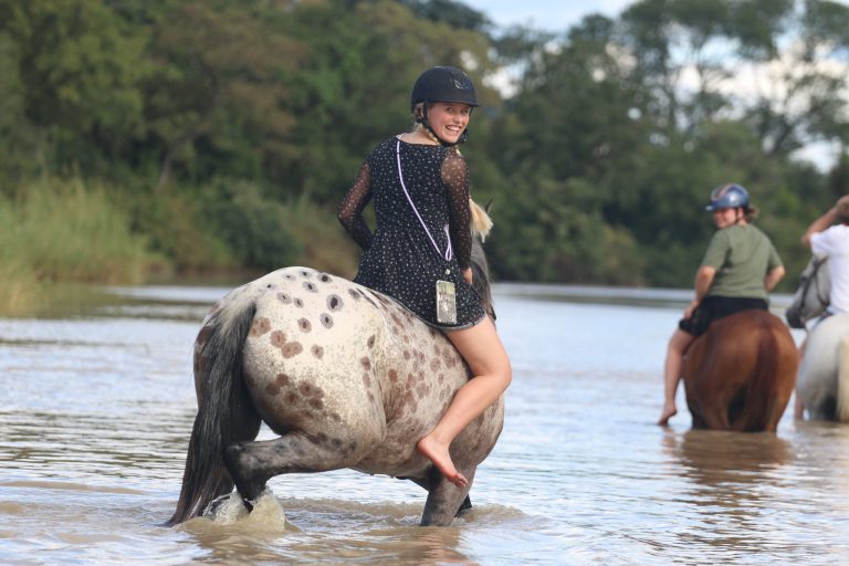 mit Pferden schwimmen (saisonabhängig)
