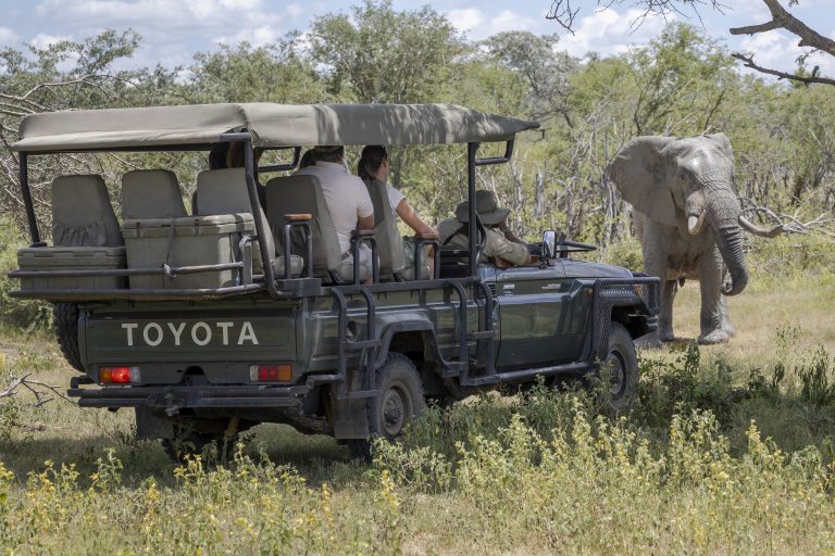 Game Drives