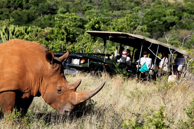 Game Drives
