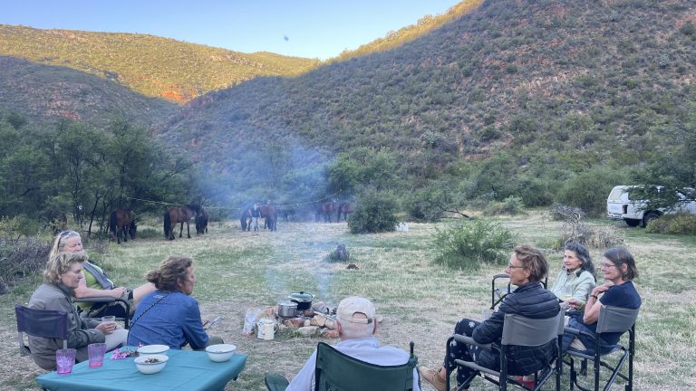 Lagerfeuer Fly Camp