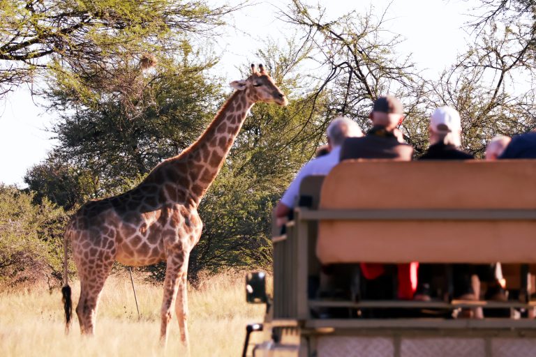Game Drive