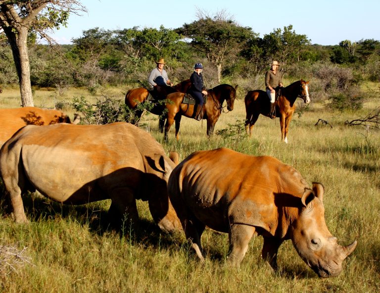Reitsafaris