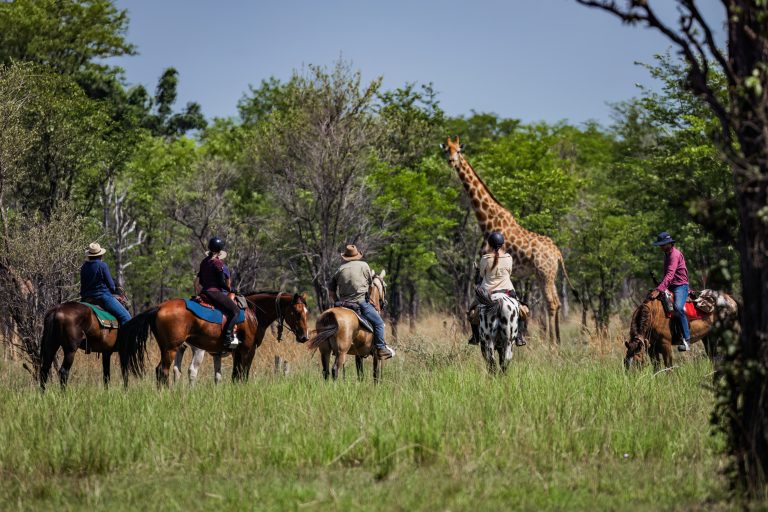 Reitsafaris