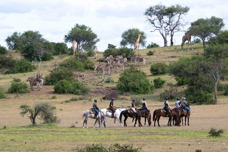 Reitsafari
